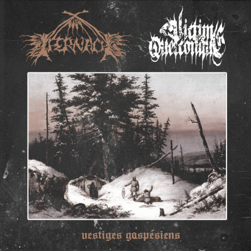 Victime Quelconque : Vestiges Gaspésiens